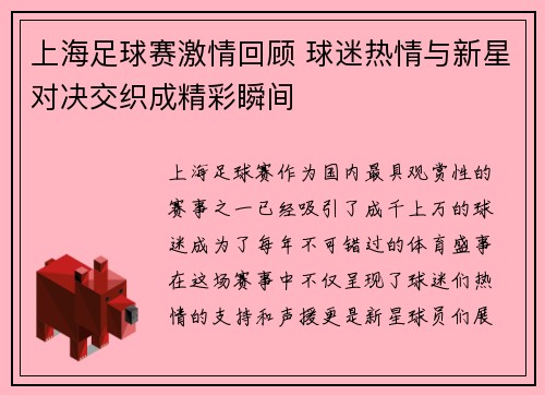 上海足球赛激情回顾 球迷热情与新星对决交织成精彩瞬间
