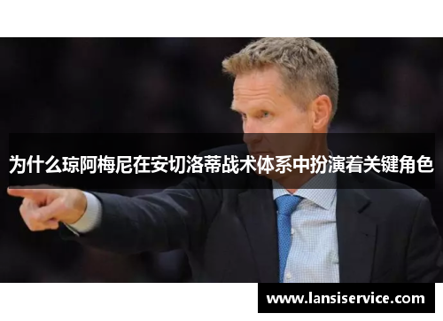 为什么琼阿梅尼在安切洛蒂战术体系中扮演着关键角色