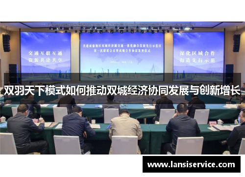 双羽天下模式如何推动双城经济协同发展与创新增长
