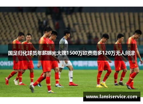 国足归化球员年薪曝光大牌1500万欧费南多120万无人问津