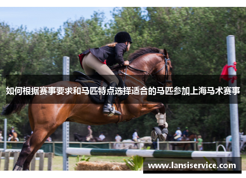 如何根据赛事要求和马匹特点选择适合的马匹参加上海马术赛事 如何根据赛事要求和马匹特点选择适合的马匹参加上海马术赛事