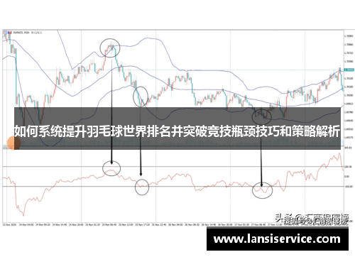 如何系统提升羽毛球世界排名并突破竞技瓶颈技巧和策略解析